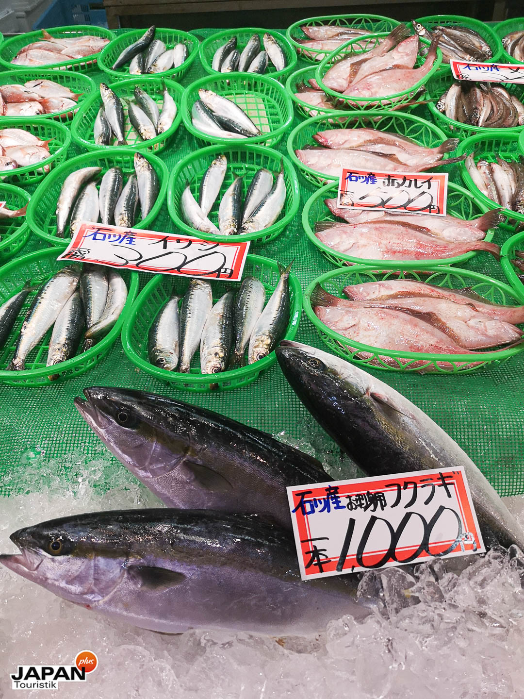 Kanazawa - Fischmarkt in Kanazawa