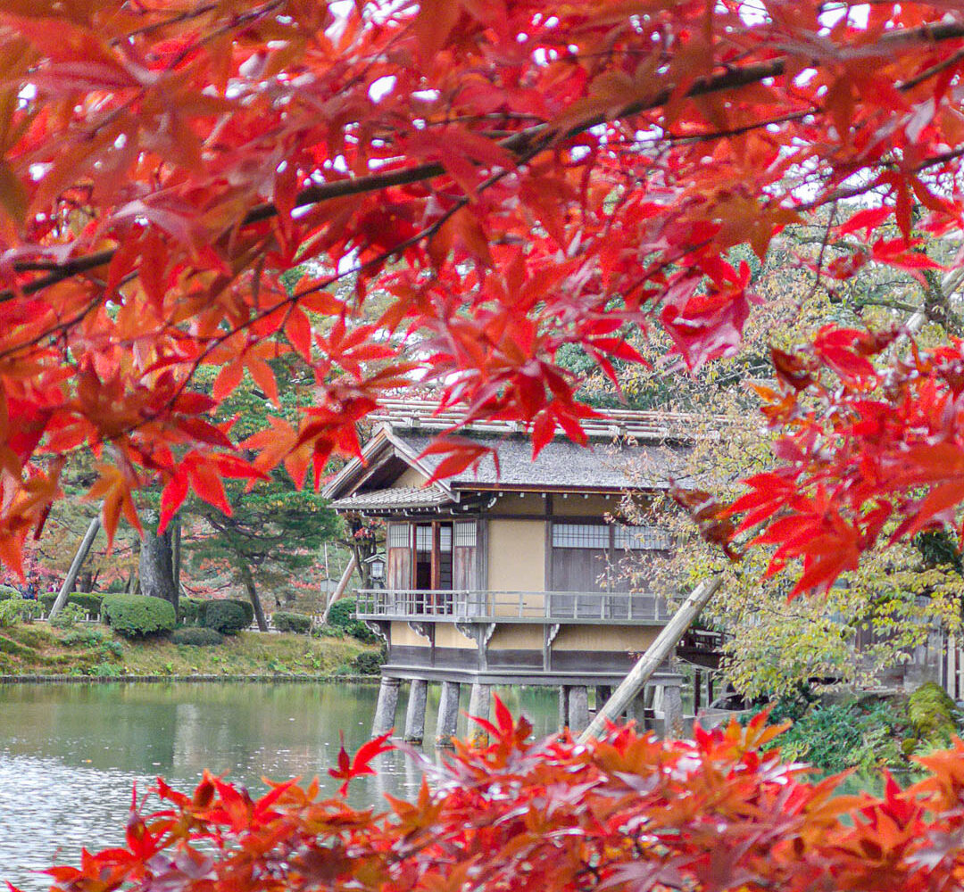 Kanazawa - Herbstlaub im Korakuen Garten