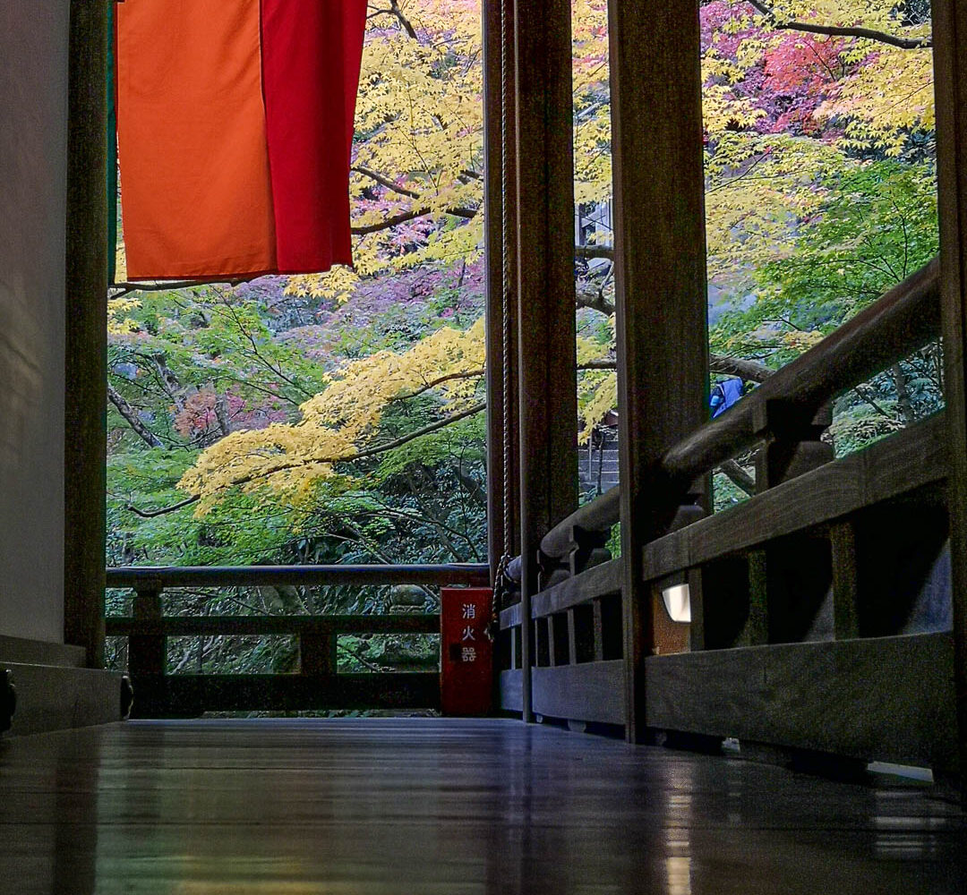 Kyoto - Herbst im Eikan-do Tempel