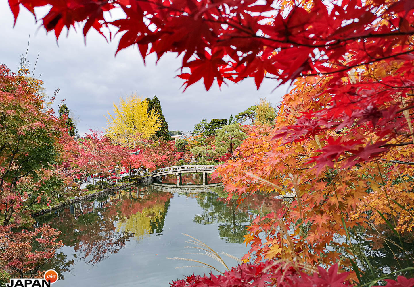Kyoto - Herbst im Eikan-do Tempel