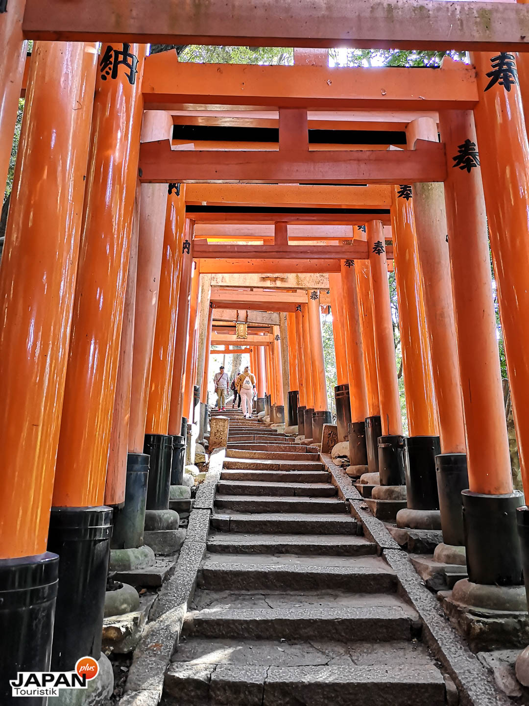Kyoto - Torii im Fushimi Inari Schrein