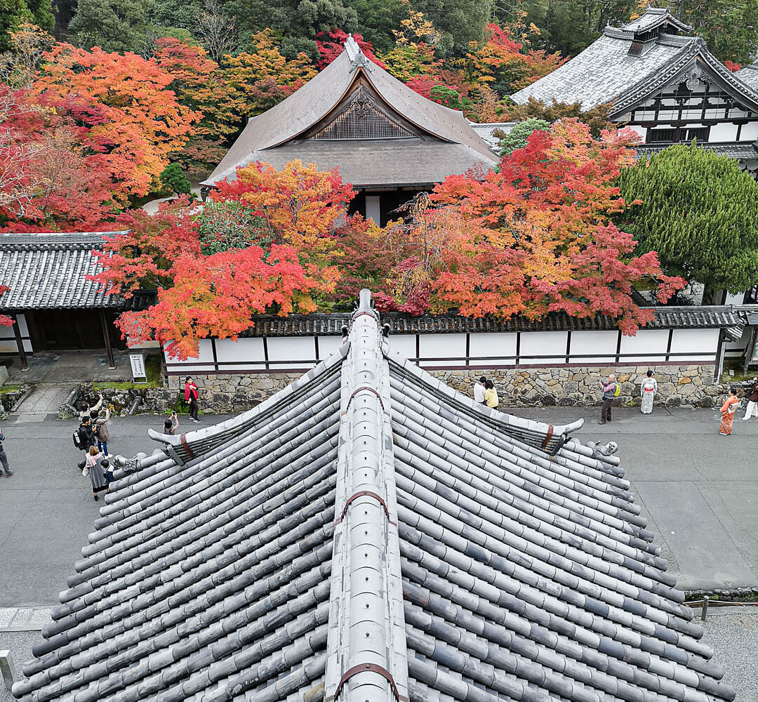 Kyoto - Blick vom Sanmon Tor auf den Tenju-an Tempel im Herbst