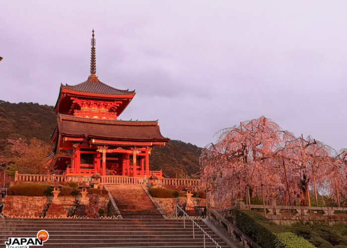 Kyoto - Kiyomizu Tempel im Abendlicht mit Kirschblüten