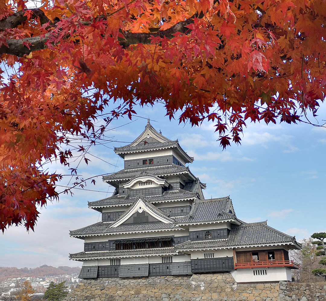 Matsumoto - Schloss Matsumoto mit Herbstlaub