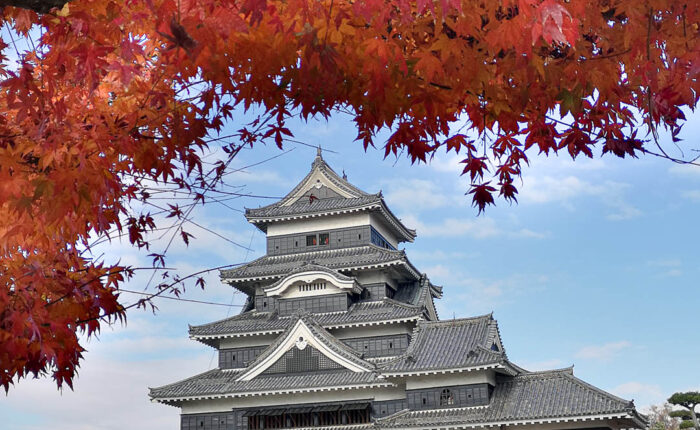 Matsumoto - Schloss Matsumoto mit Herbstlaub