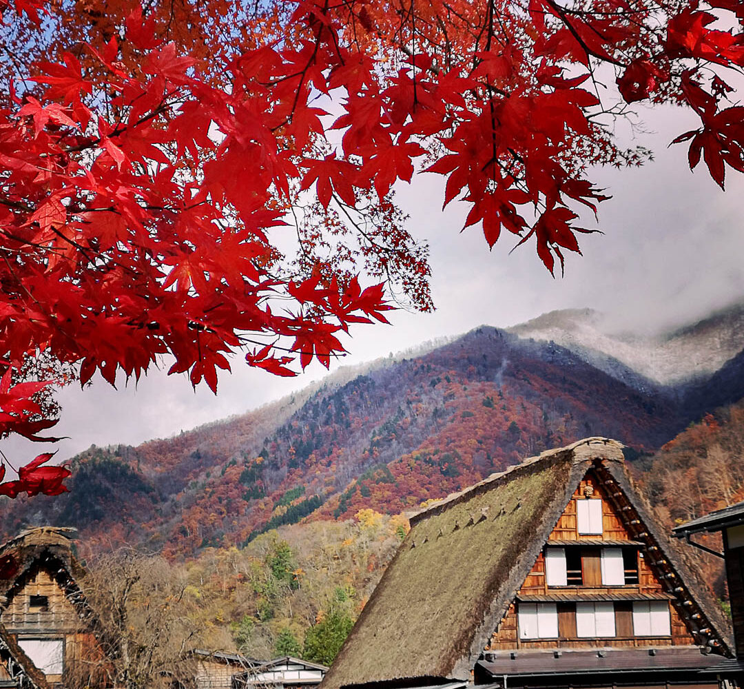 Shirakawago - Rotes Herbstlaub und Schnee