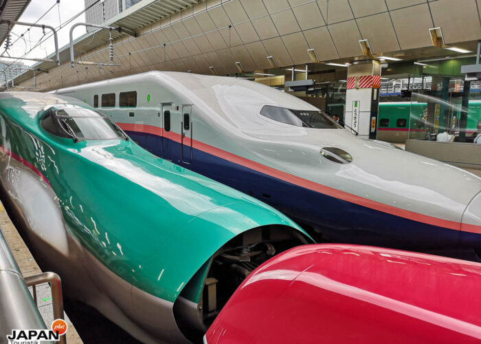 Tokyo - Shinkansen am Bahnhof Tokyo